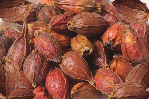 色差儀在中藥材梔子顏色檢測(cè)中的應(yīng)用