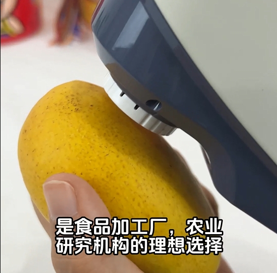 YS3060分光測色儀在芒果顏色色差測量中的應(yīng)用